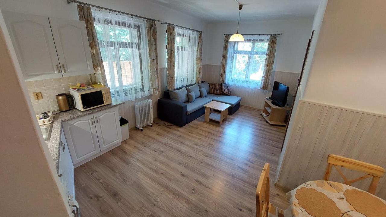 Ubytovani Pod Hradbami Нове-Место-над-Метуйи Экстерьер фото